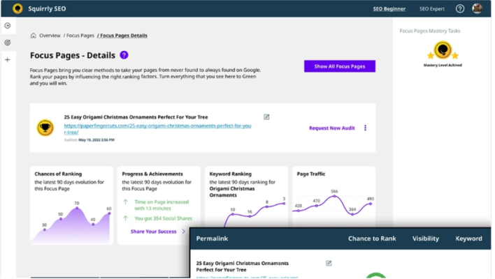 Focus Page Squirrly SEO